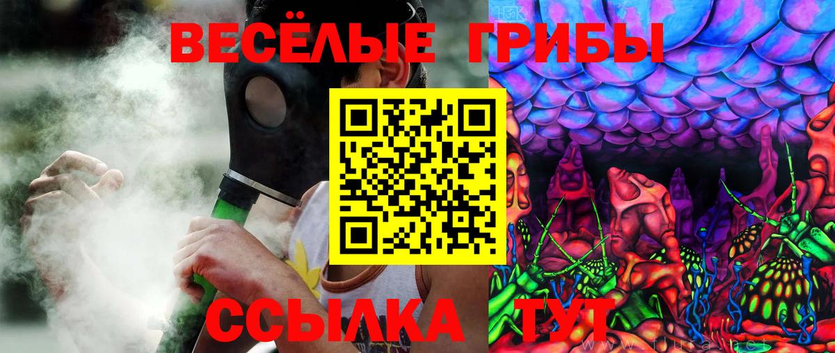 Кубинка  купить наркотик  Галлюциногенные грибы MAGIC MUSHROOMS  Вход с VPN  Псилоцибиновые грибы мухоморы 